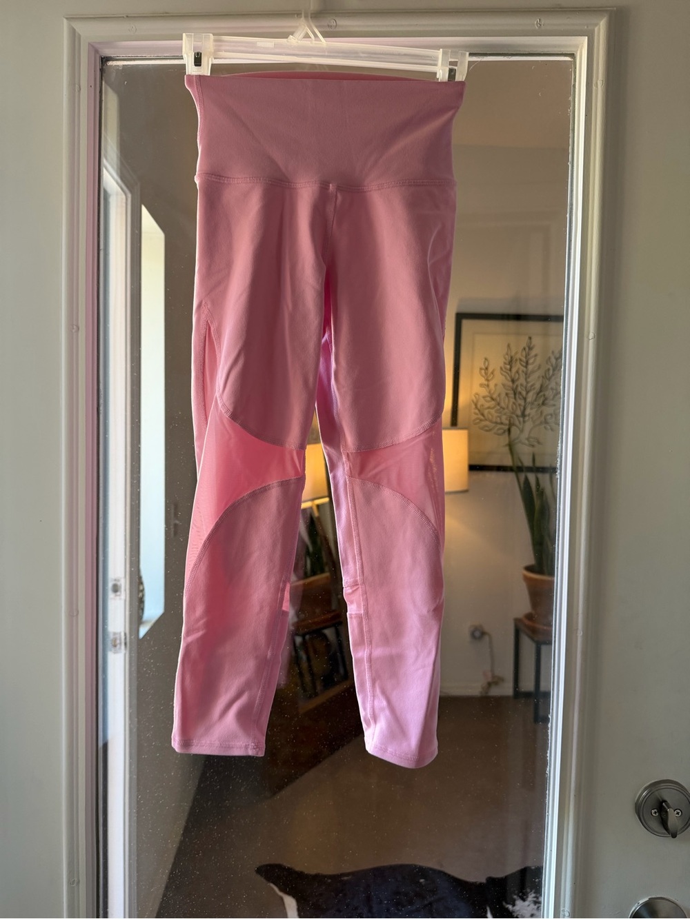 ALO Yoga Pink Sheer Panel High-Rise Leggings